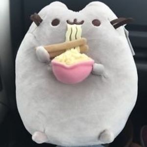 pusheen plush ramen